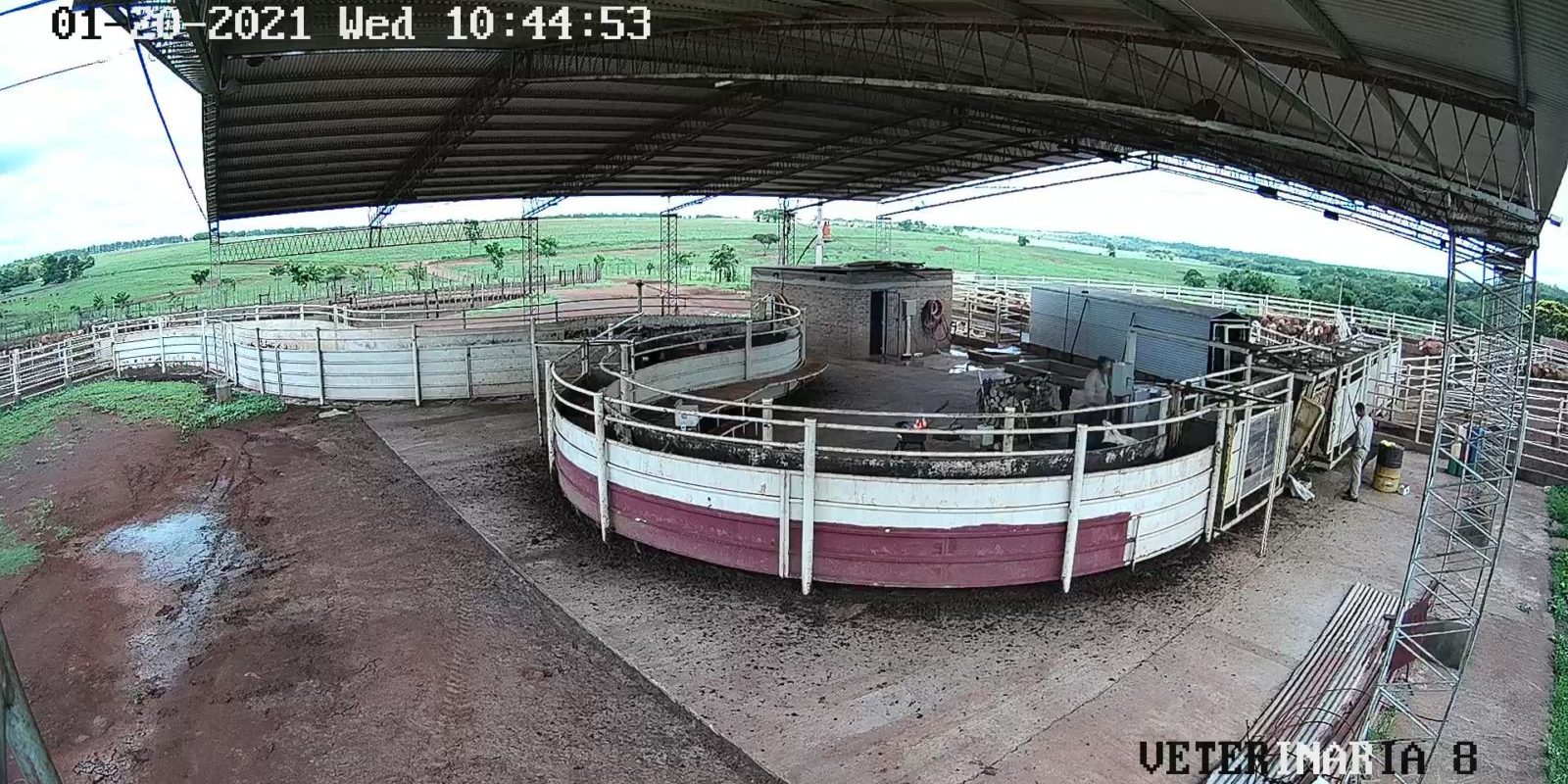 ganaderaelporvenir_camera 24@180043624_DS-7216HQHI-K2(180043624)_20210120104454_54800790